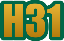 h31